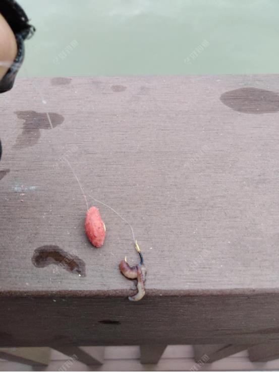 饵料|雨天垂钓---钓鱼人的浪漫情
