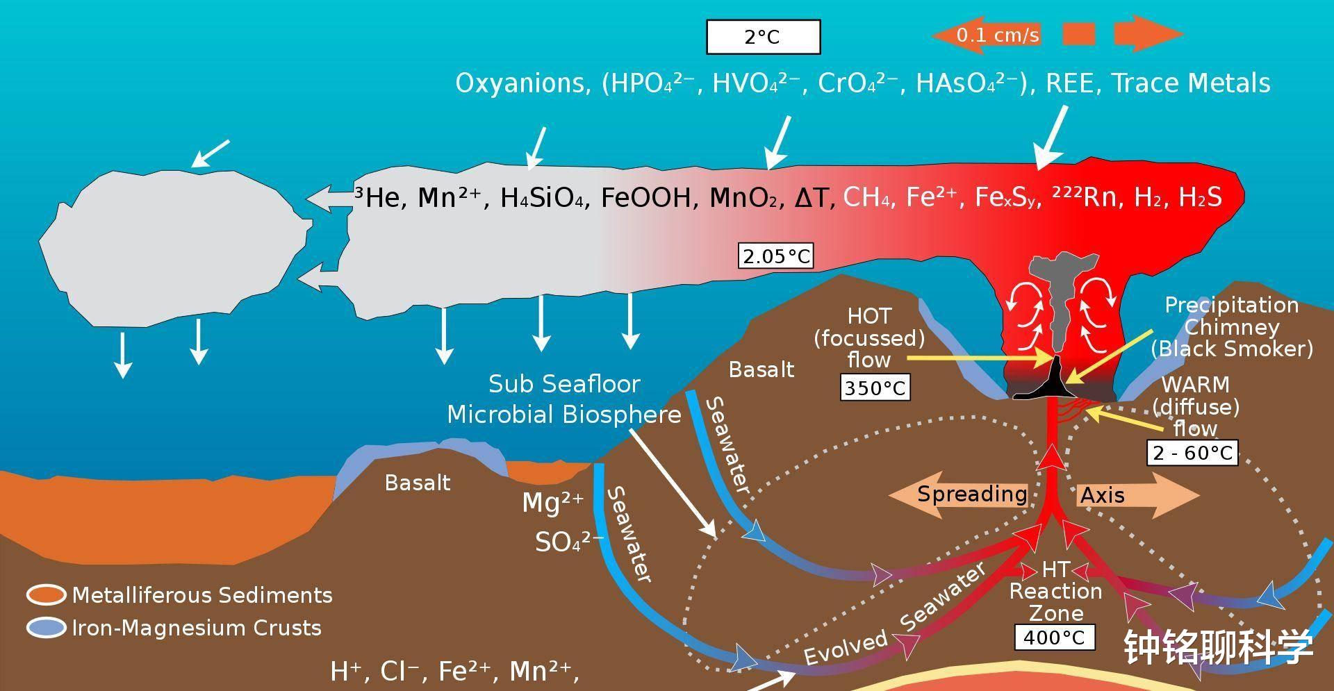 #火星#自然界中，为什么哺乳动物的生殖系统都是长在两腿之间？