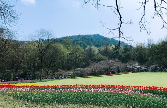 珍郏芝英 杭州曾有个荔枝峰石刻，可是却消失了一百多年，直到四年前才找到