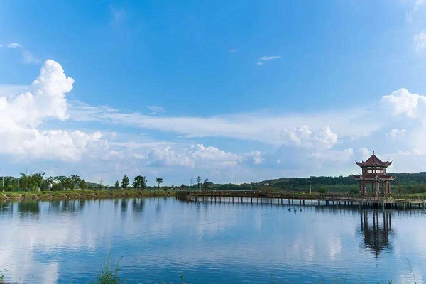 『柏林』武汉被“遗忘”的一座湖，曾因商业开发被污染，现成钓鱼人好去处