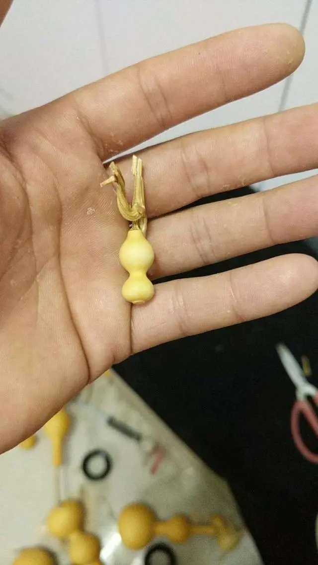 钱币|文玩圈惊现“天价葫芦”,是普通文玩葫芦的100倍