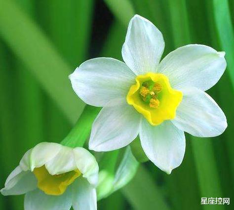 |哪些日子出生的人,先苦后甜,9月后乘风破浪,迎来曙光