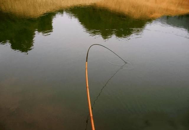 |19调和28调的鱼竿,实战中到底有什么区别