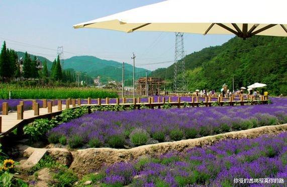 吉星|9月18日开始，吉星庇佑，4属相财运大涨，招财纳福，大发特发