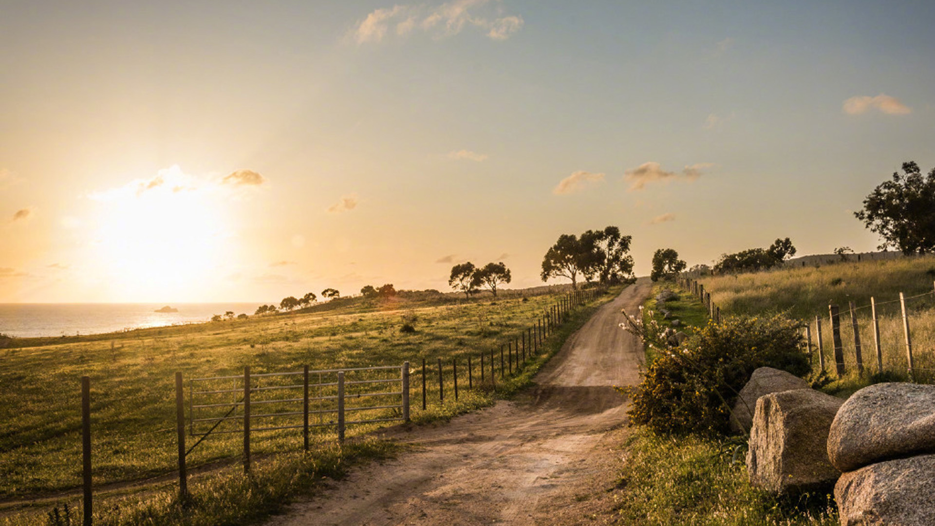 金牛座：六月下旬，或是难过、或是开心，三星座不爱了，昂首阔步转身就走