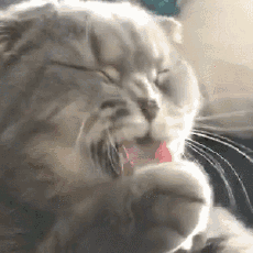 外星人|“外星人根据骨头，想象地球上的生物会是什么样的呢？”反差绝了