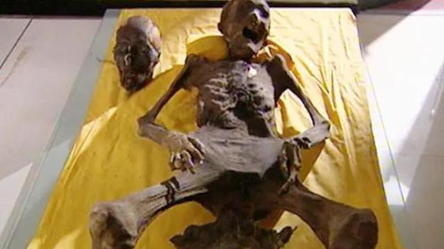 名臣名将|清代女子因难产昏厥，误认已死入棺下葬，200年后墓中景象凄惨