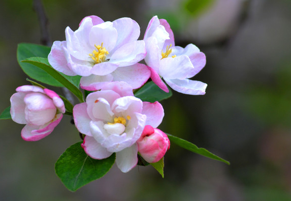 运势|8月份开始，紫气东来，4属相天降大喜，福禄双全，好事成双