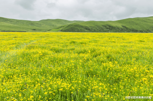 吉星|进入8月中旬,4属相吉星伴随,事业如日中天,好运难挡,抬头见喜