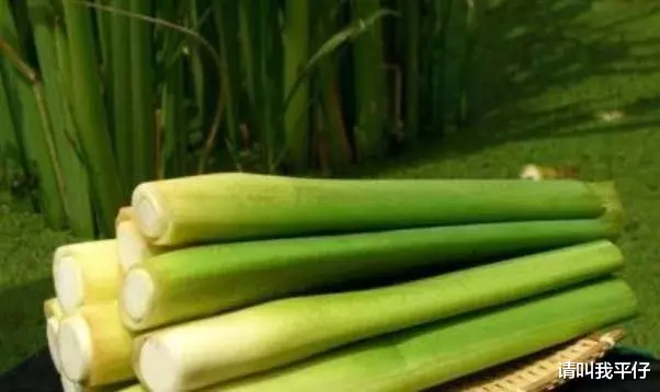 「臀部」?宁愿不吃,也不碰的3种“蔬菜”,寄生虫成堆,别再浑然不知!