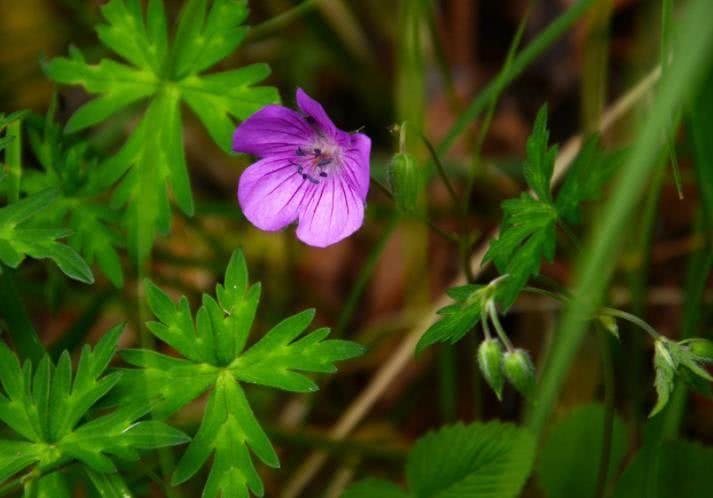 运势|9月开始运势稳定不缺钱，事业攀升，闷头数钞票的四大生肖