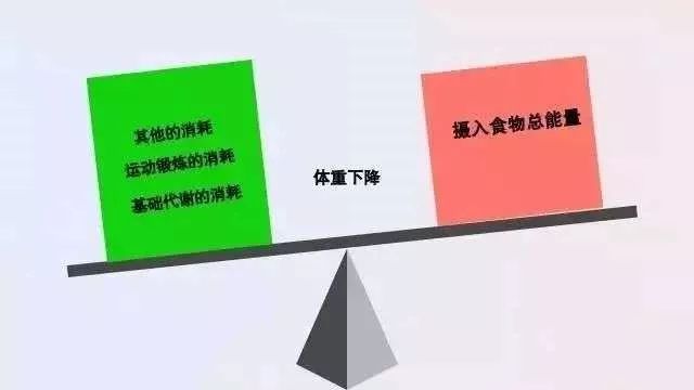 『饮食』为什么减肥必须吃主食？注意，“必须吃”不等于“乱吃”