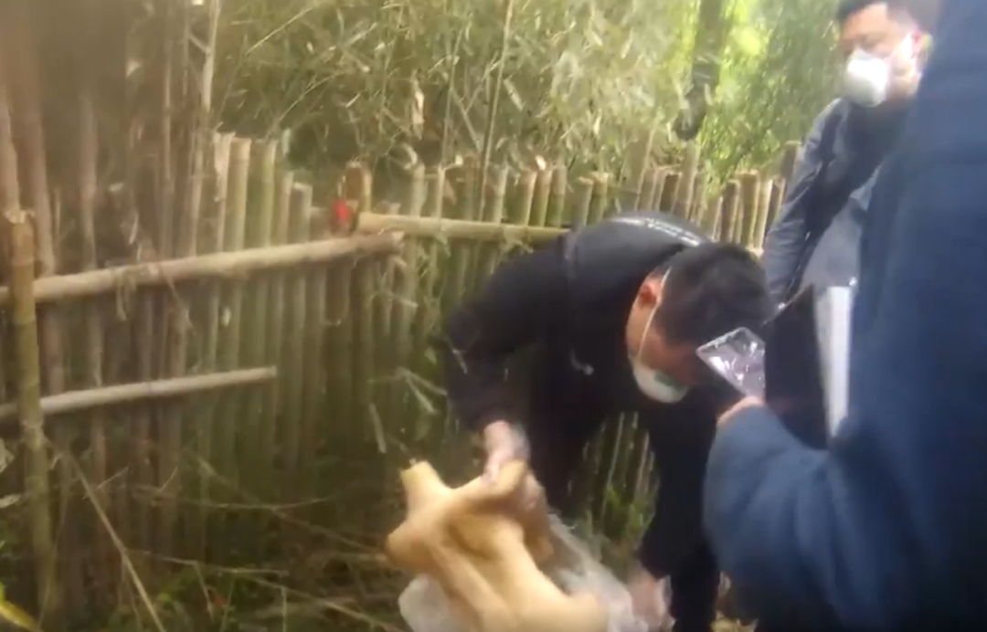 [民警]停电信息|警方接到匿名电话：水田里趴着个披头散发的女人