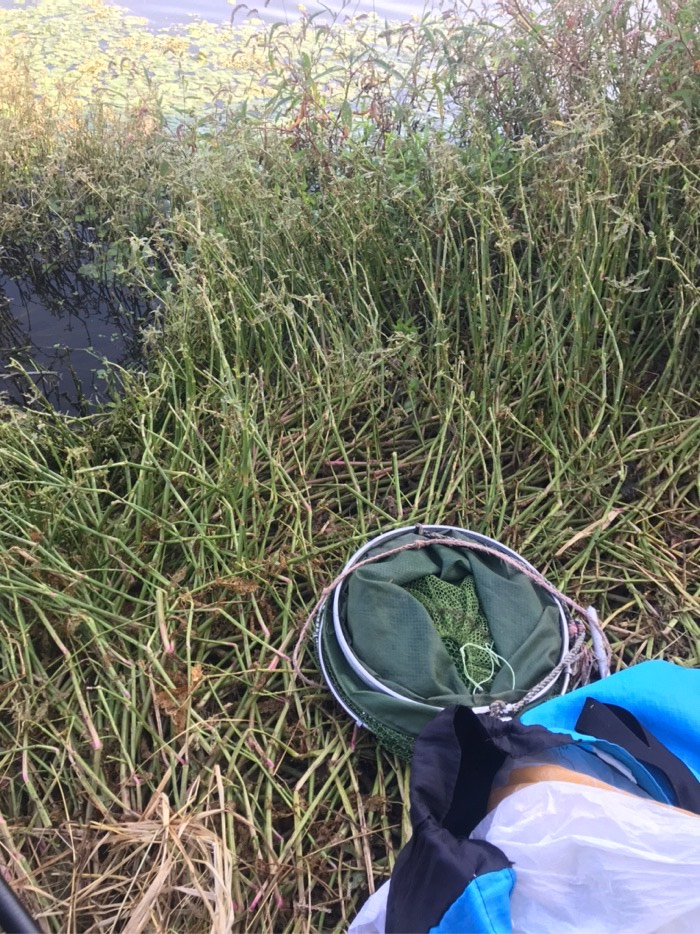 社会养老|今天鱼儿还是没口