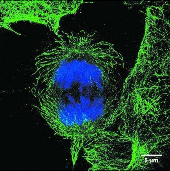 『外星人』世界上最细的夸克钢丝，可以快速切割人体，来看看多强大
