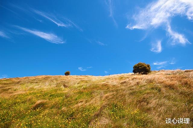 生肖|9月，风渐起，泪轻落，思念已成河，3星座痴迷旧情，余生不再错过
