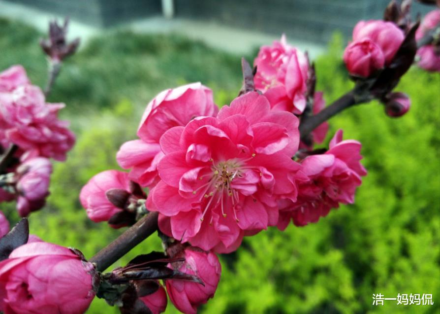 「金牛座」3生肖财神撑腰，财源滚滚，6月30号运势超旺，恭喜上榜的朋友！