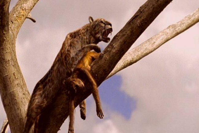 南方古猿|人类当真没有天敌？一动物差点吃光人类祖先，至今有人依然害怕