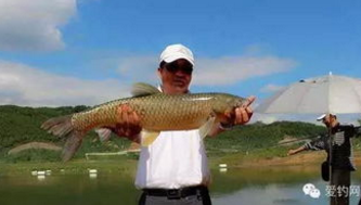 ：垂钓草鱼该用什么饵料