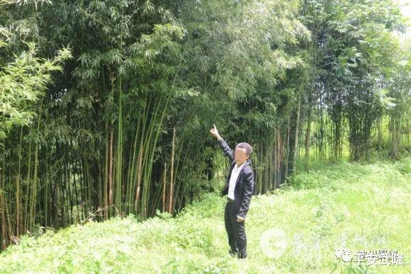 赫章|昆仑2020丨居然把野生动物用食盐腌制后放在柴火上熏干？！抓！