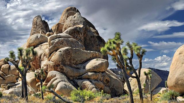 运势▲5月上旬转大运，能够赚大钱发大财，必发千万横财的生肖