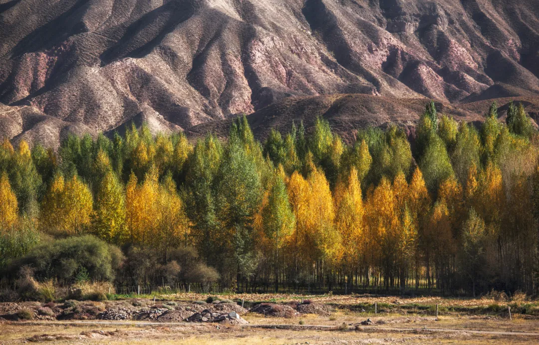 阿尔山|2020只剩最后三分之一，这12个地方再不去会遗憾到底！