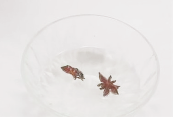 『牙痛』把八角放进白酒里,效果太厉害了,解决了困扰多年的问题还省钱!