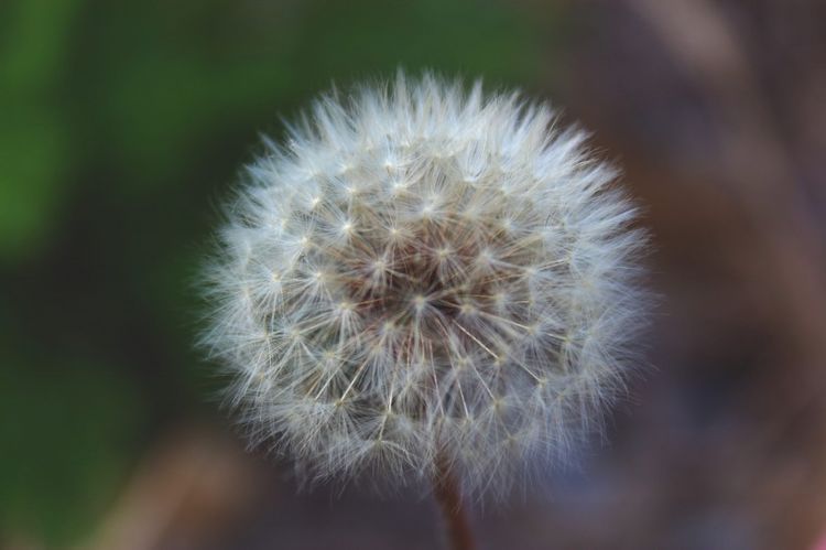 生肖|8月良缘天赐，桃花缘做媒，寻得真爱到手，今生长相厮守的4大生肖