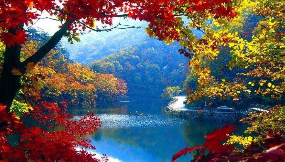 洪崖洞|辽宁“原始森林”公园走红，号称“东北桂林”，距沈阳仅110公里