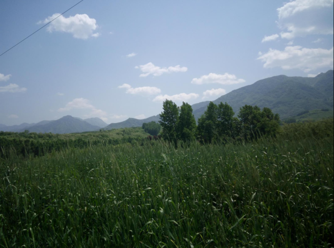 秦岭|秦岭扯袍峪森林公园攻略