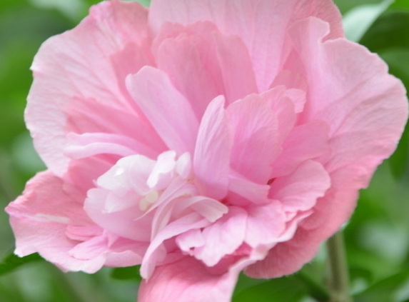 【运势】未来10天，4属相运势不断上涨，富贵盈门，顺风顺水，万事大吉