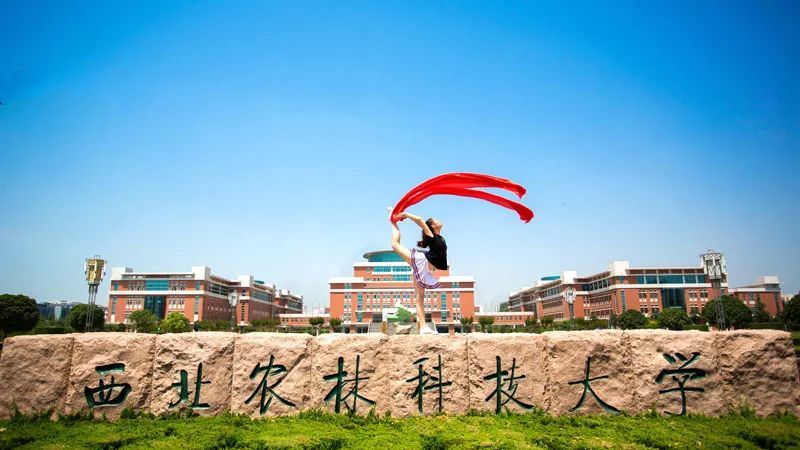 科学院@2020年中国985大学两院院士数量排名,看看谁的科研实力最强