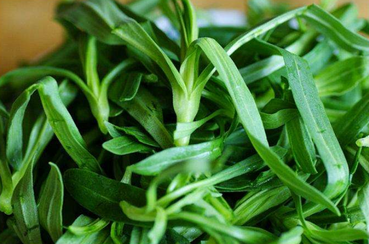 『清明节』清明前后，宁愿少吃猪肉，也别放过此菜，燃烧脂肪，肠道通畅了