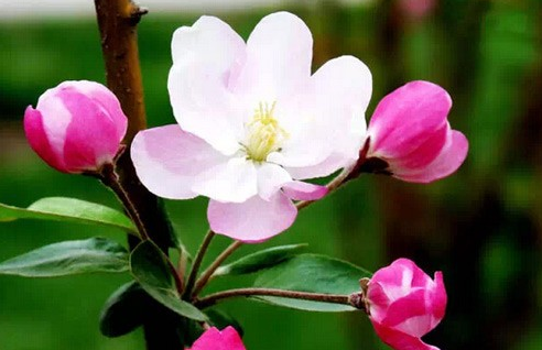 生肖|未来7天，横财接二连三，4属相财富千百万，前程光明又灿烂