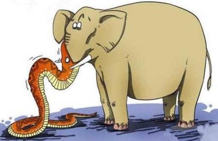 「蟒蛇」能带把匕首在蟒蛇吞吃时自救吗？