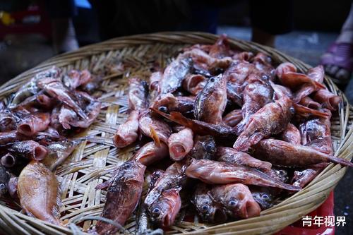 「」世界十大毒王之一，被中国厨师做成美食，还有什么是我们不敢吃的