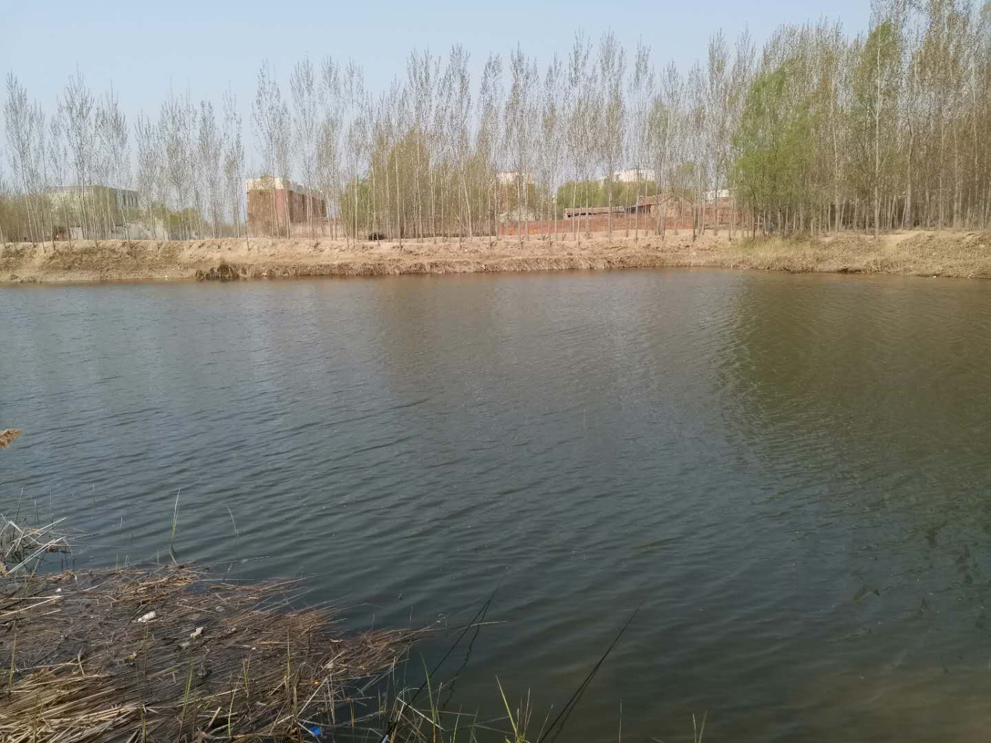 ##深挖滑口鱼形成的原因,这么滑为何依然被钓起,两个因素不可忽略