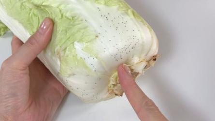 大白菜|吃了这么多年大白菜，才知道上面的“黑点”是什么？真是涨知识了