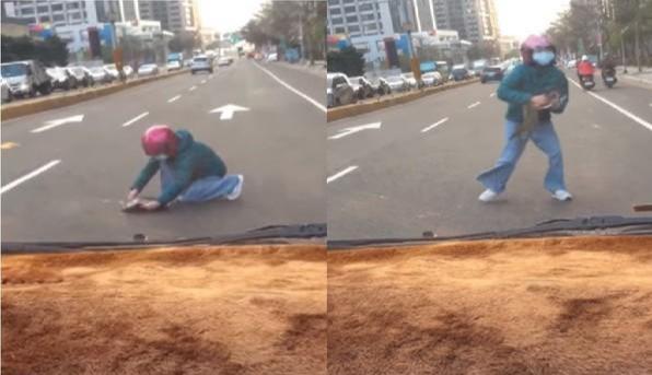 流浪猫受伤躺路中间，女子发现冲过去拯救，可惜还是太晚了