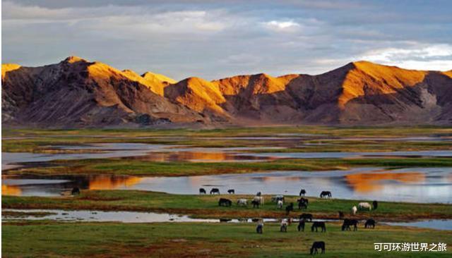 「西藏」为何不允许游客前往可可西里无人区？看完你就懂了