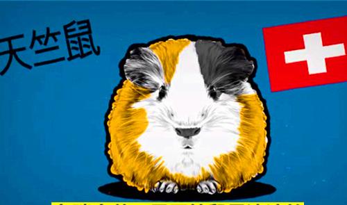 「海獭」12个看似很荒谬,但却真实存在这个世界的有趣冷知识