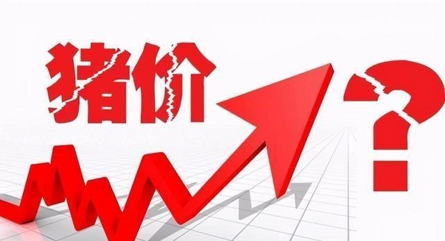 生猪价格|猪价涨了！是真涨假涨？15元肉价还有戏？10月27日猪价肉价