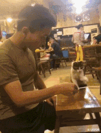 |跟闺蜜旅游去泰国，看着她的所作所为，回来后坚决不联系了！