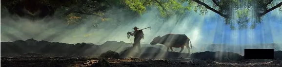 汽车|8.12复盘| A股深V5次，诞生一只汽车龙头！（炒预期）