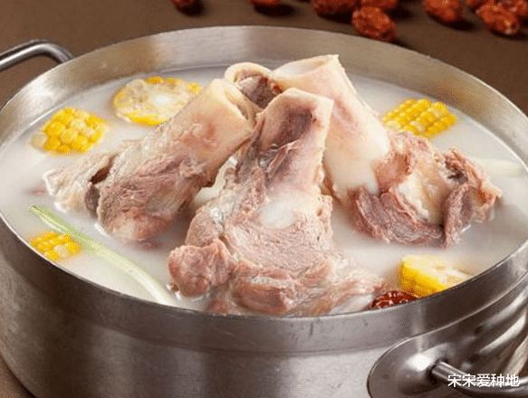 「香菇」常吃香菇的人,身体不会太差,但需牢记1“禁忌”,早知早好