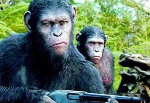 苏联|苏联的人猿杂交实验：科学家找来5名女志愿者，最后却发生了意外