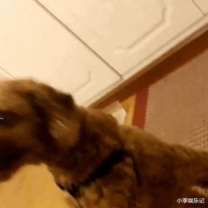 |搞笑：太瘦的人都有哪些烦恼？玩命减肥到110，半夜竟然觉得饿得骨头疼