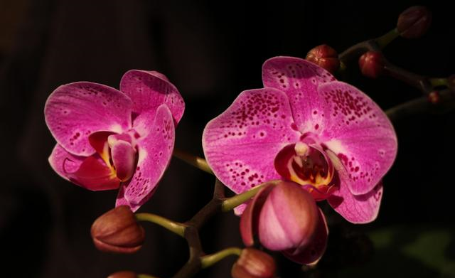 天蝎座|未来10天，前缘萌动，相思绵绵，长路漫漫，彼此陪伴四大星座