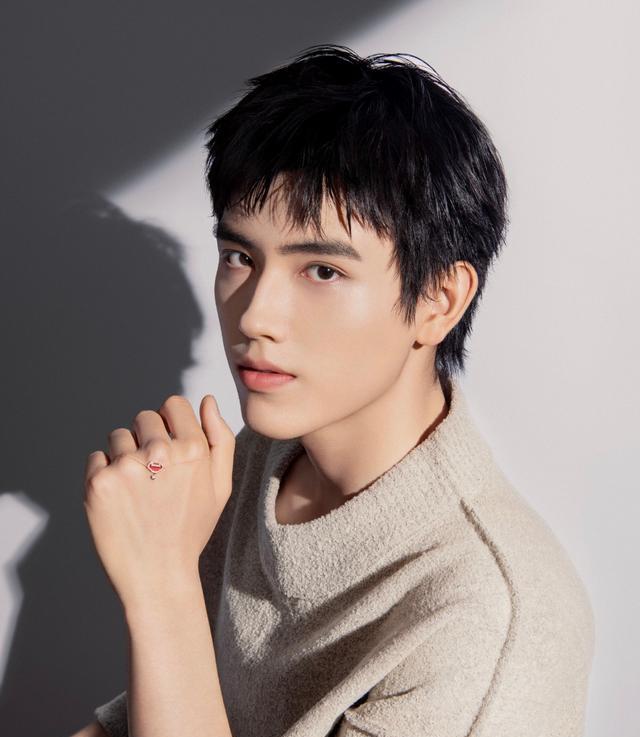 孙俪|圈内爆料：肖战，陈飞宇，虞书欣，杨紫，孙俪，李易峰，赵露思