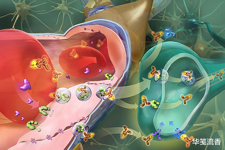 朊病毒|1种病毒可穿越血脑屏障,患者无药可救,探讨后发现生命在轮回